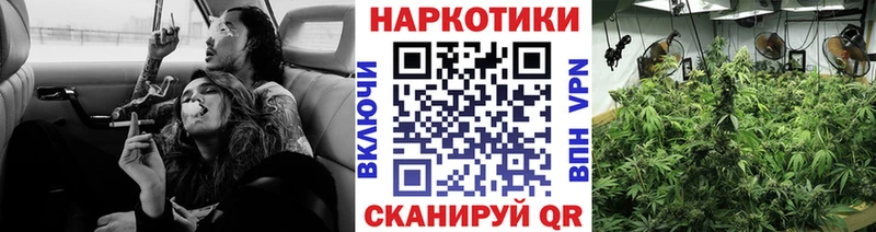 Наркошоп Калининград Метадон Конопля COCAIN мега ONION LSD-25 ГАШ Меф Alpha PVP