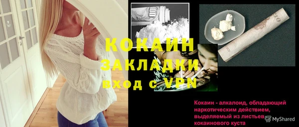 индика Верхний Тагил