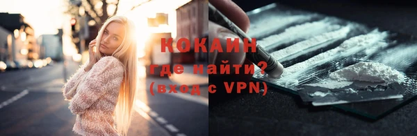 индика Верхний Тагил