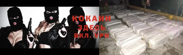 индика Верхний Тагил
