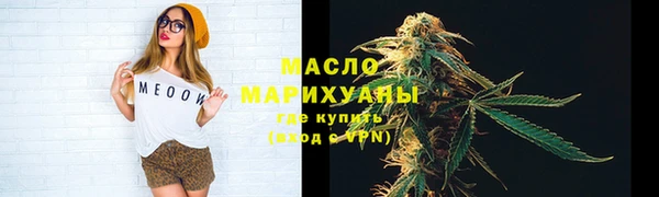 индика Верхний Тагил