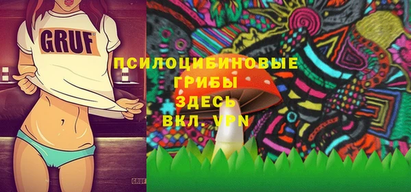 индика Верхний Тагил