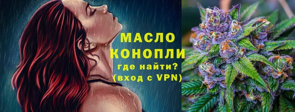 индика Верхний Тагил