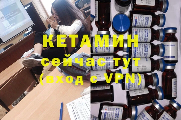 индика Верхний Тагил