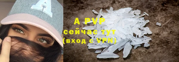 твердый Верея